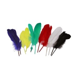 12 PLUMES MULTICOLORES 