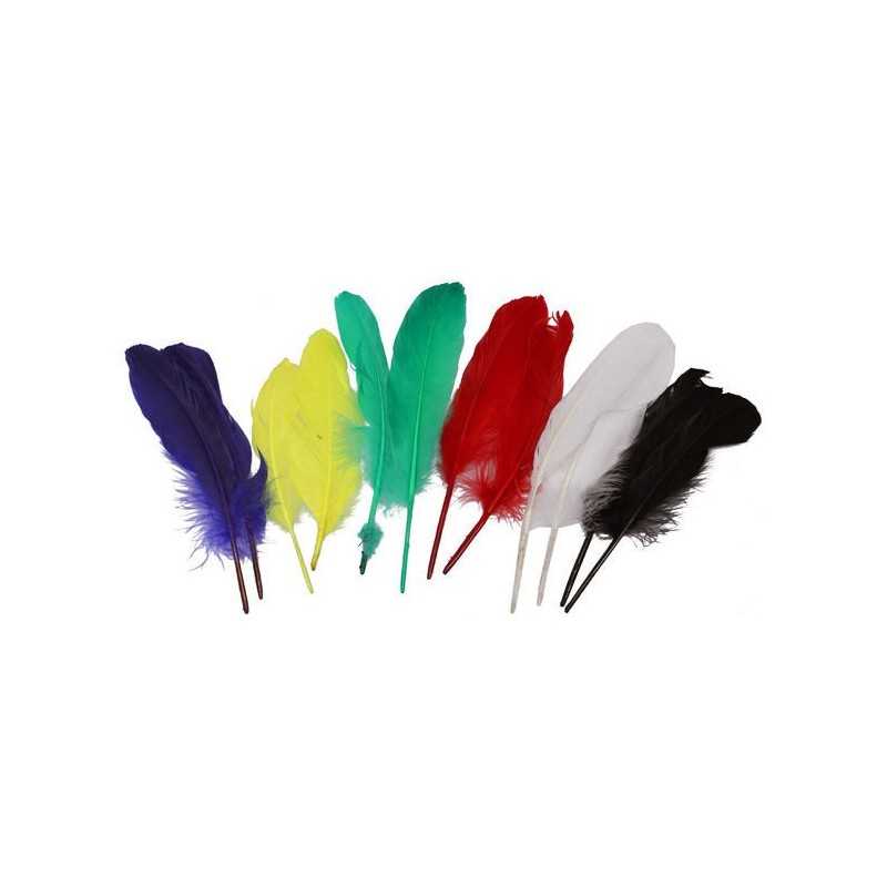 12 PLUMES MULTICOLORES 