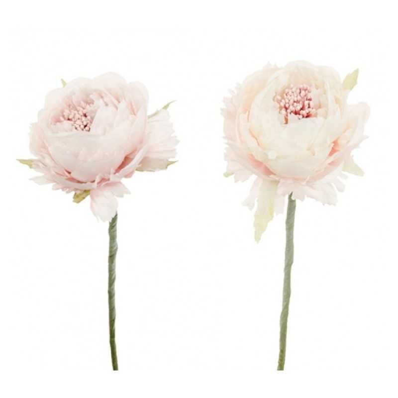 FLEUR RENONCULE COULEURS ASSORTIS ROSE ET IVOIRE 33 CM DIA 7 CM