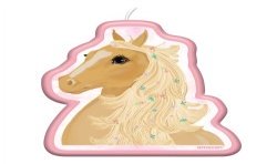 BOUGIE MON CHEVAL 
