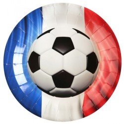 10 ASSIETTES RONDES FRANCE AVEC BALLON DE FOOT 22 CM 