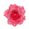 ROSE COULEUR ROSE FUSCHIA