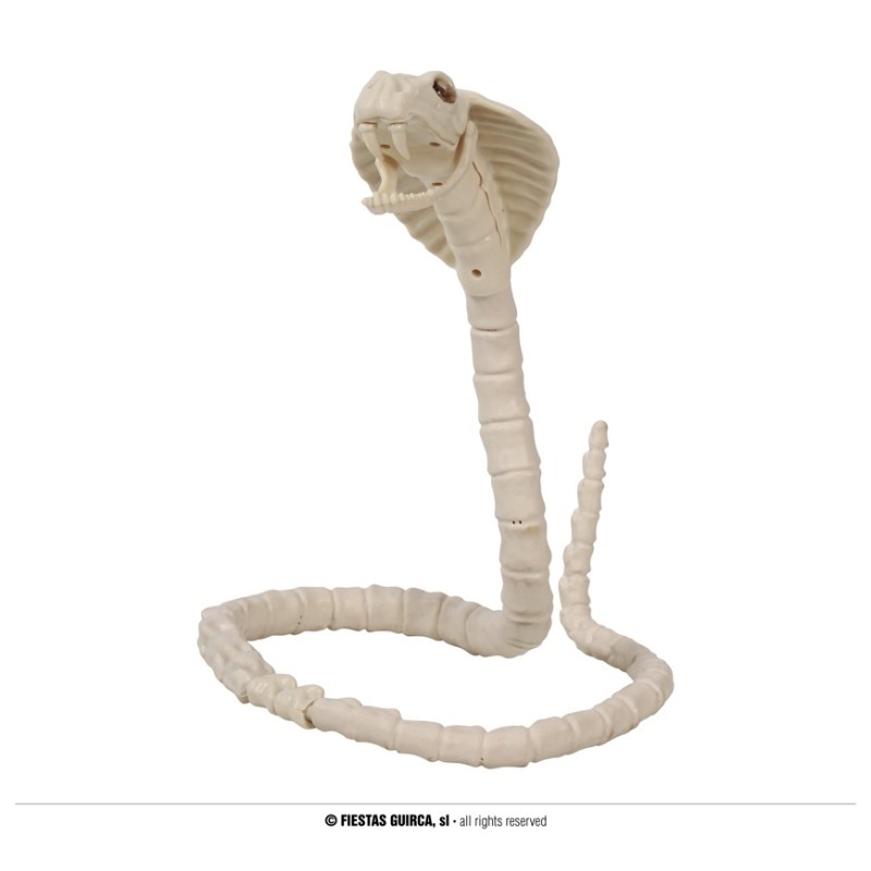 SQUELETTE COBRA 100 CM