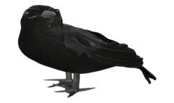 DECORATION CORBEAU NOIR 17 CM 