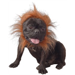 DEGUISEMENT DE LION POUR CHIEN