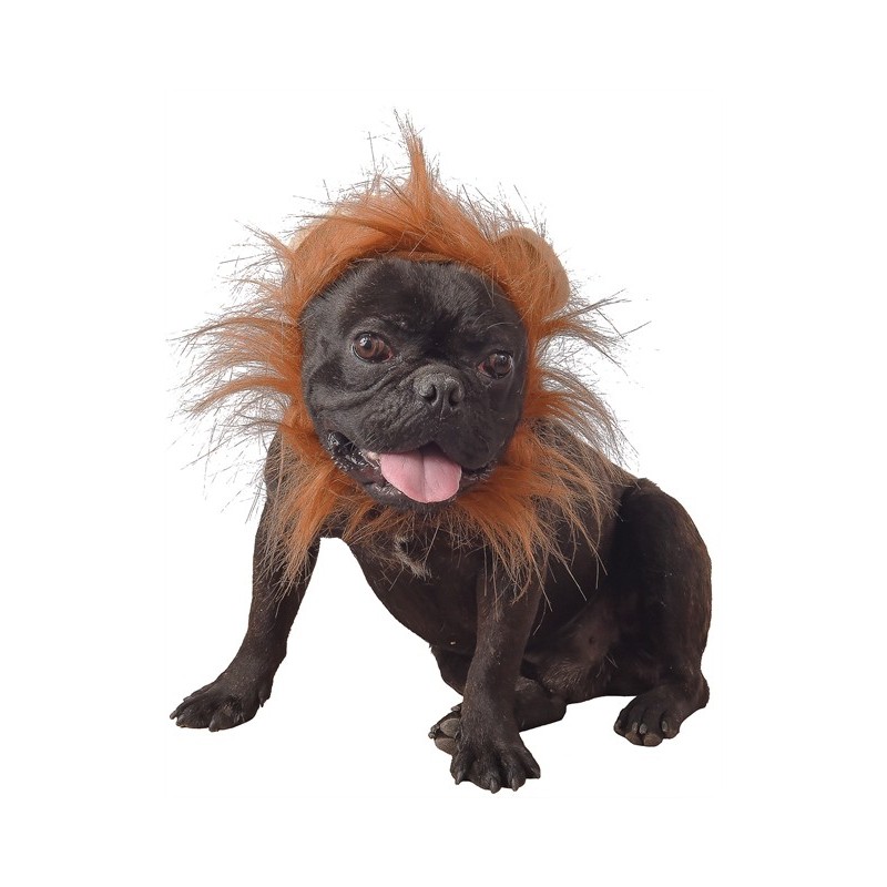 DEGUISEMENT DE LION POUR CHIEN DEGUISEMENT DE LION POUR CHIEN