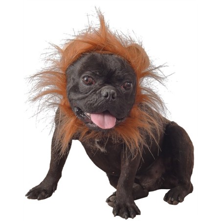 DEGUISEMENT DE LION POUR CHIEN