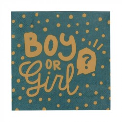 12 SERVIETTES BOY OR GIRL 25 X 25 CM