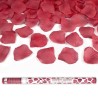 CANON A CONFETTIS PETALES ROUGE 80 CM CANON A CONFETTIS PETALES ROUGE 80 CM