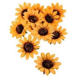 12 TOURNESOLS DIA 8 CM X 1.5 CM HT 