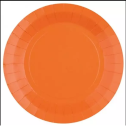 10 ASSIETTES CARTON RONDE ORANGE 22 CM 