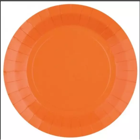 10 ASSIETTES CARTON RONDE ORANGE 22 CM 