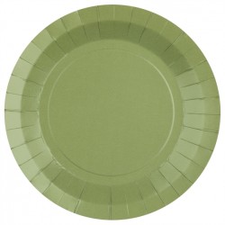 10 ASSIETTES CARTON RONDE VERT SAUGE OU EUCALYPTUSSE 22 CM 