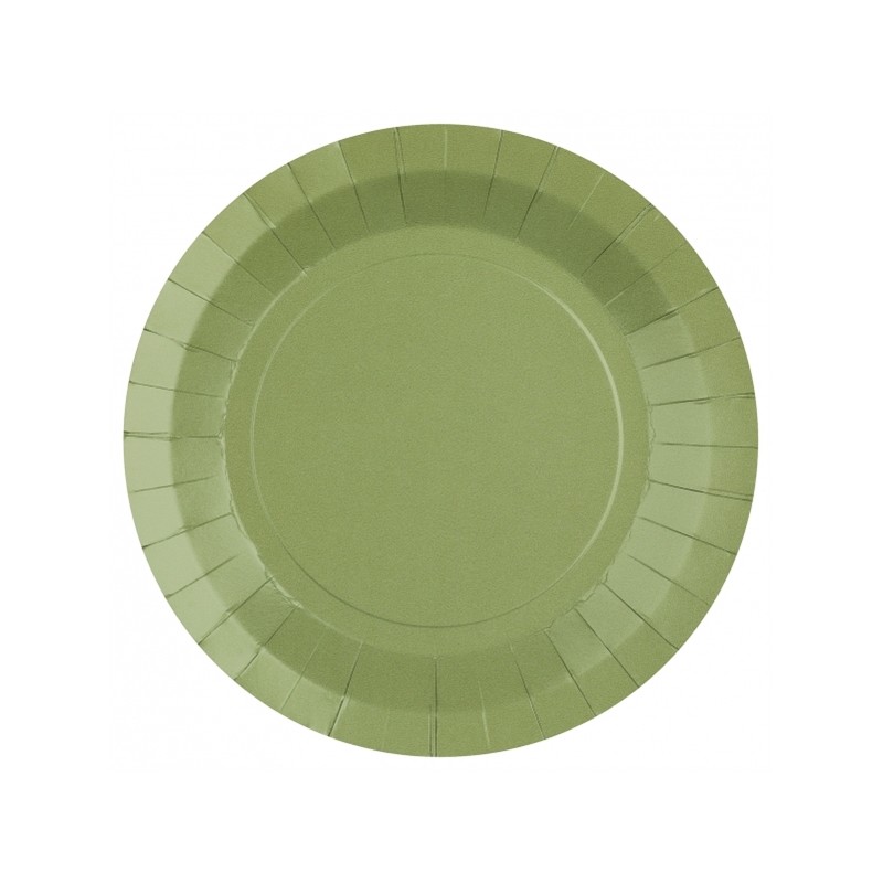 10 ASSIETTES CARTON RONDE VERT SAUGE OU EUCALYPTUSSE 22 CM 