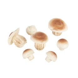 CHAMPIGNONS EN MOUSSE NATUREL DE 3,5CM ET 6,5CM