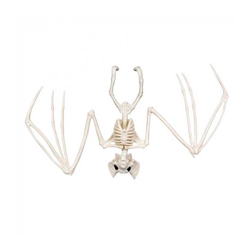 SQUELETTE DE CHAUVE SOURIS 24 CM 