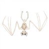SQUELETTE DE CHAUVE SOURIS 24 CM 