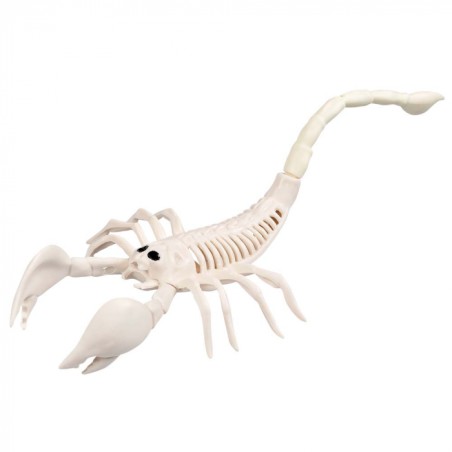 SQUELETTE DE SCORPION 31 CM 