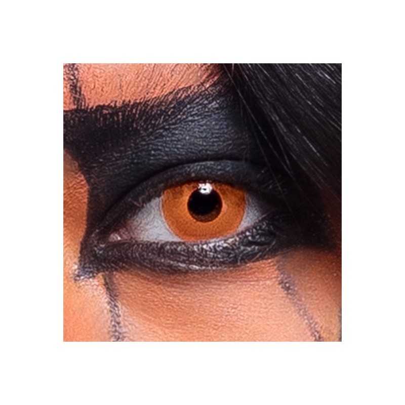 LENTILLES DE SEMAINE CITROUILLE (ORANGE )