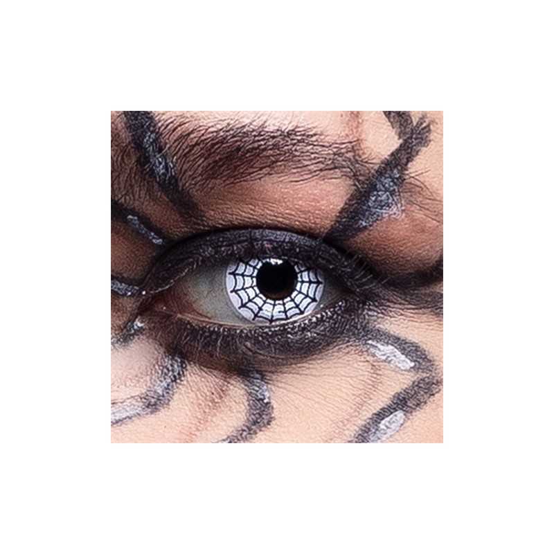 LENTILLES SEMAINE TOILE D'ARAIGNEE 