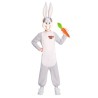 DEGUISEMENT ENFANT  BUGS BUNNY TAILLE 4-6 ANS 