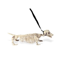 CHIEN TECKEL SQUELETTE  AVEC LAISSE 55 CM 