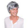 PERRUQUE GRISONNANTE HOMME CHEVEUX COURTS