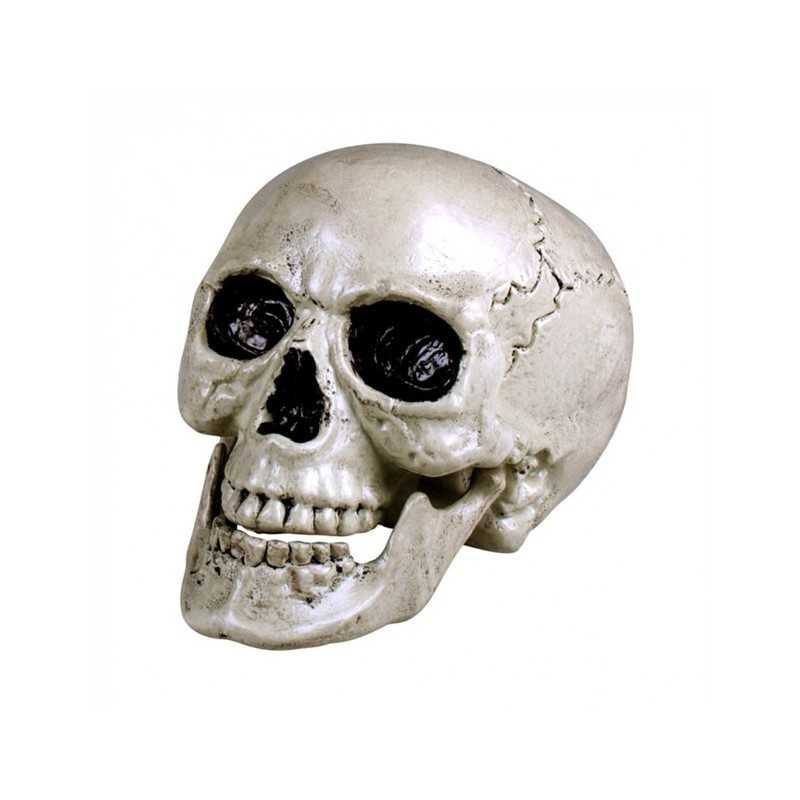 TETE DE MORT MACHOIRE MOBILE 20 X 15 CM 