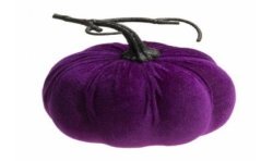 CITROUILLE VELOURS VIOLET 17 X 17 CM