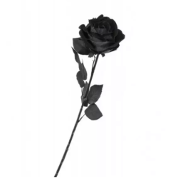 TIGE ROSE NOIRE HALLOWEEN 65 CM 