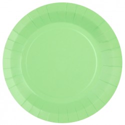 10 ASSIETTES RONDES RAINBOW MENTHE BIODEGRADABLE 22.5 CM 