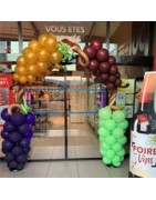 Fruits- Légumes