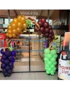 Fruits- Légumes