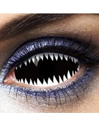 Lentilles
