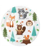 Animaux de la forêt- Printemps- Automne