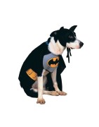 Déguisements pour chiens